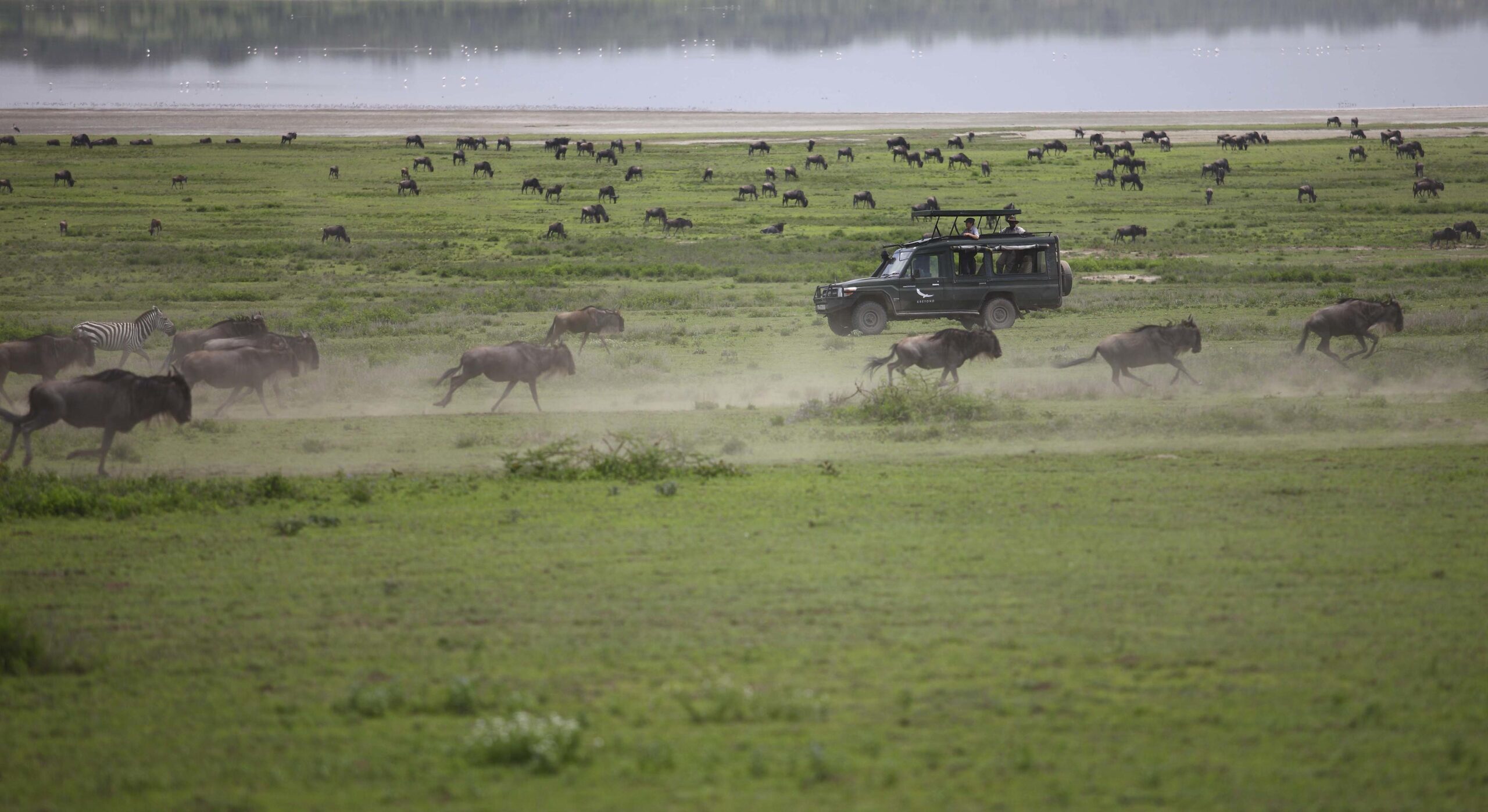 Tanzania: Beyond the Great Migration