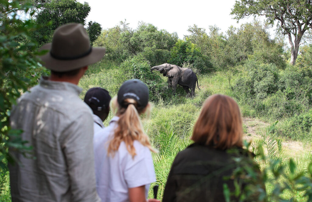 Safari-Walking-Safari-Londolozi